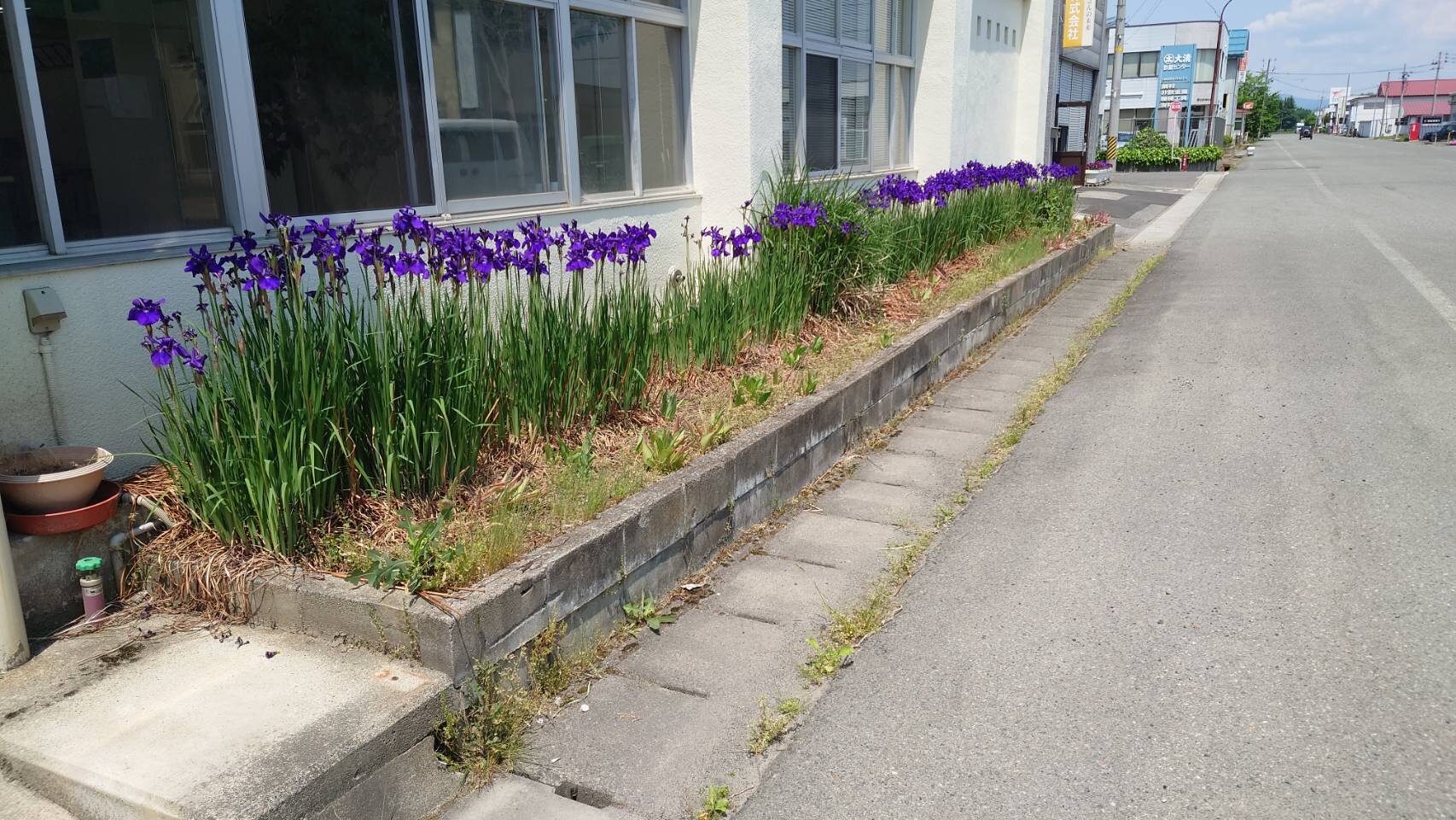 写真4.jpg
